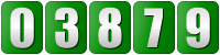 website counter